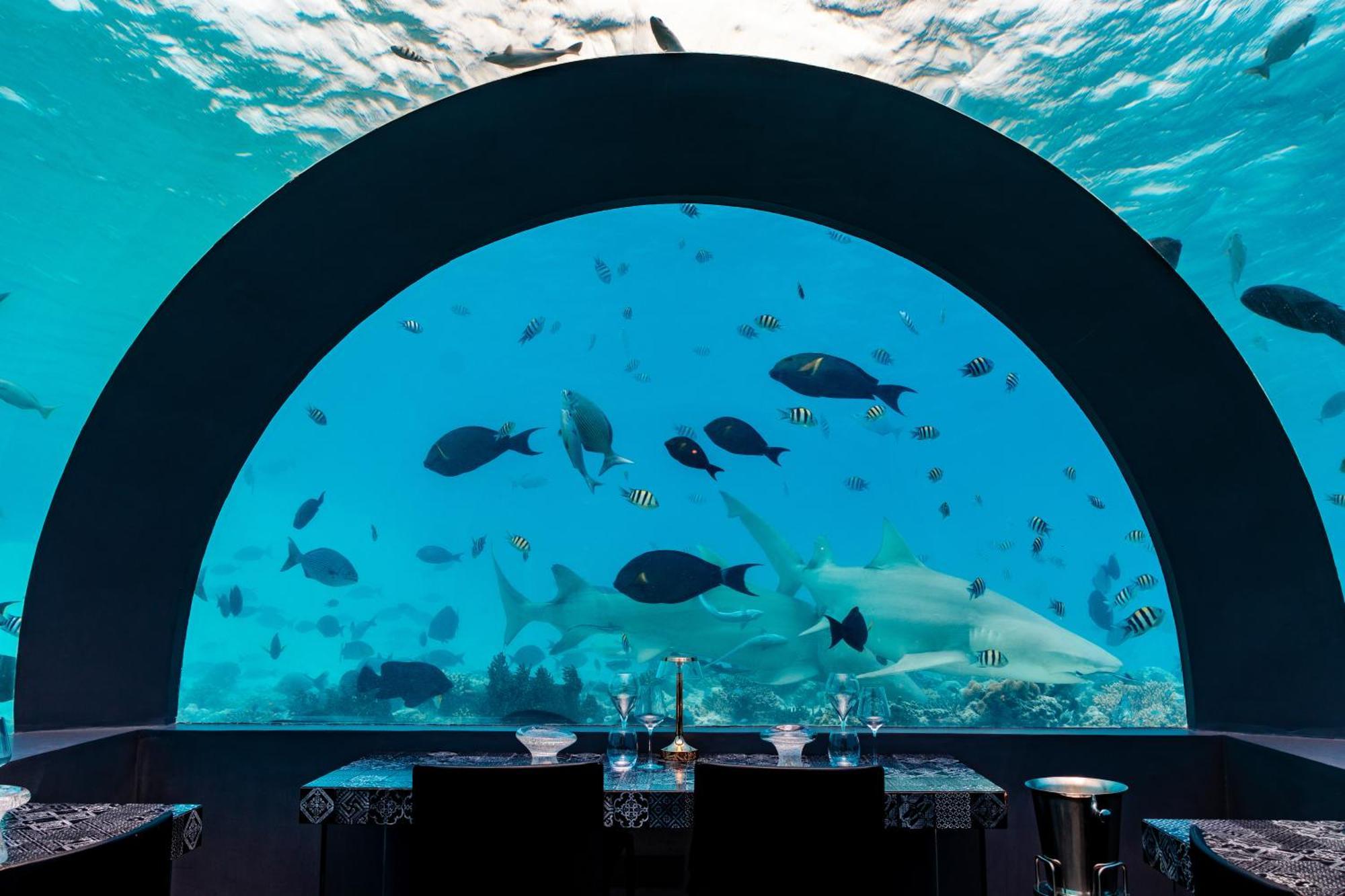 You & Me Maldives - Adults Only - Premium All-Inclusive Muravandhoo Exteriör bild